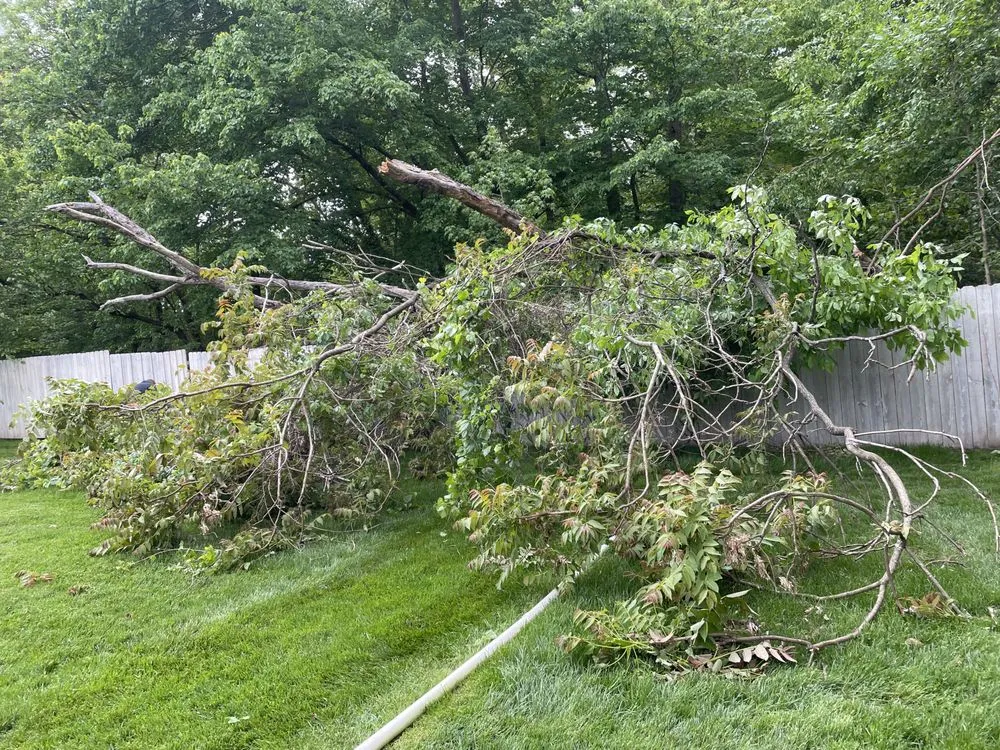 Expert landscape installation for year-round maintenance across Woodbridge, VA - Escobar's Lawn Services