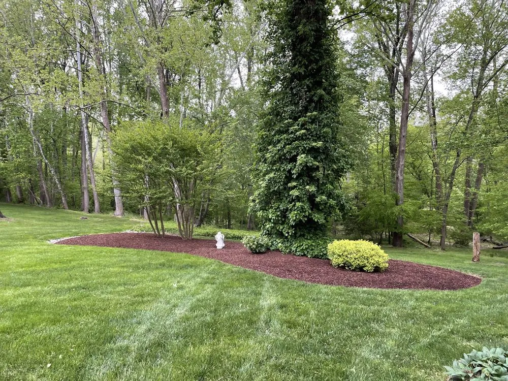 Professional outdoor landscaping experts serving Woodbridge, VA - Escobar's Lawn Services