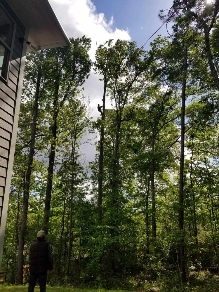 Affordable lawn care service in Marietta, GA - Escobar’s Tree Service & Landscaping