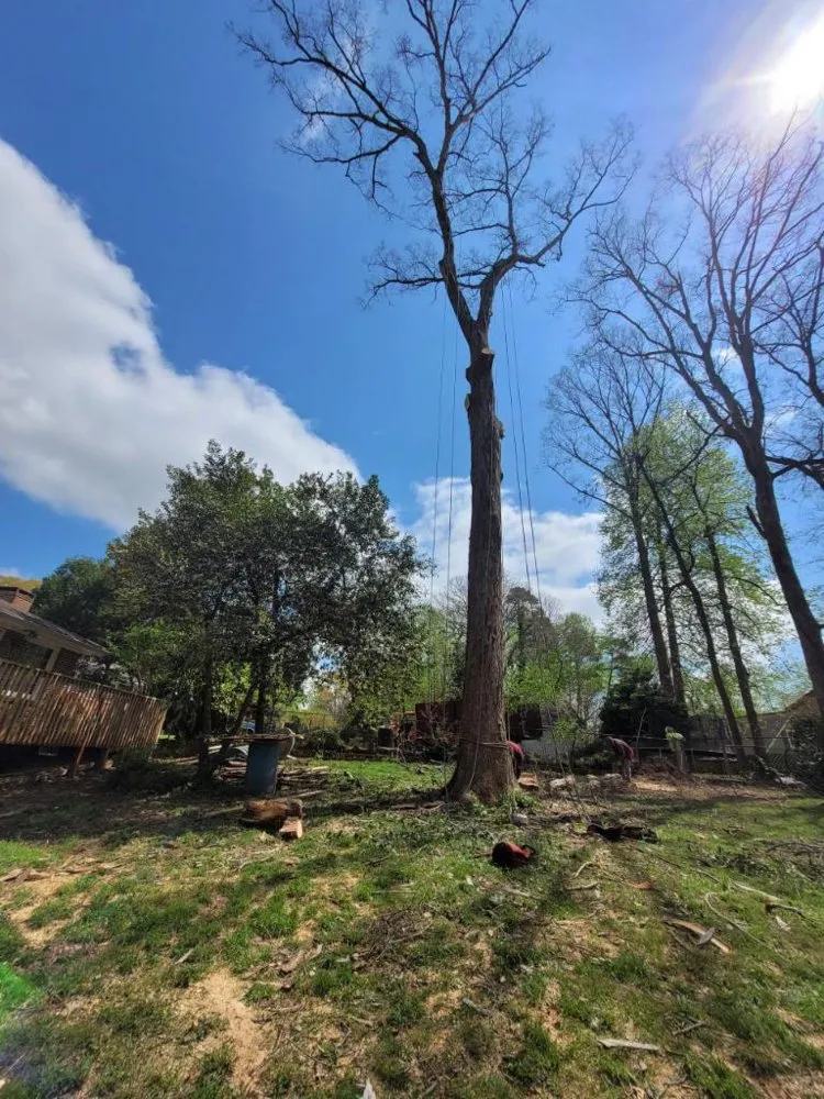 Affordable landscaping services for beautiful yards across Marietta, GA - Escobar’s Tree Service & Landscaping