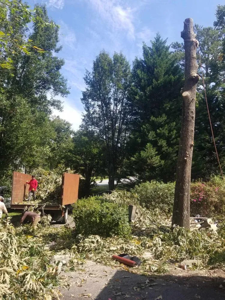 Trusted landscaping services for homes in Marietta, GA by Escobar’s Tree Service & Landscaping