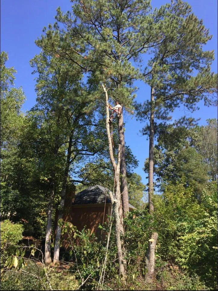 Affordable lawn care service in Marietta, GA by Escobar’s Tree Service & Landscaping