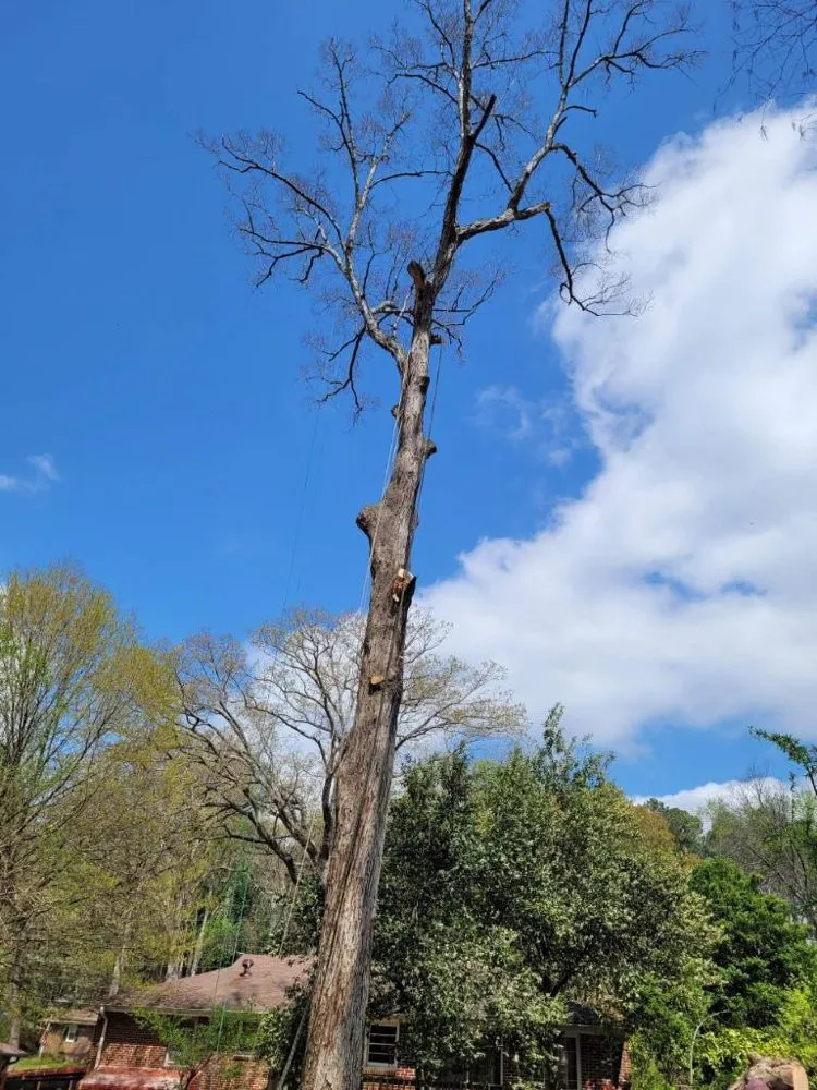 Reliable landscaping services for outdoor upgrades across Marietta, GA - Escobar’s Tree Service & Landscaping