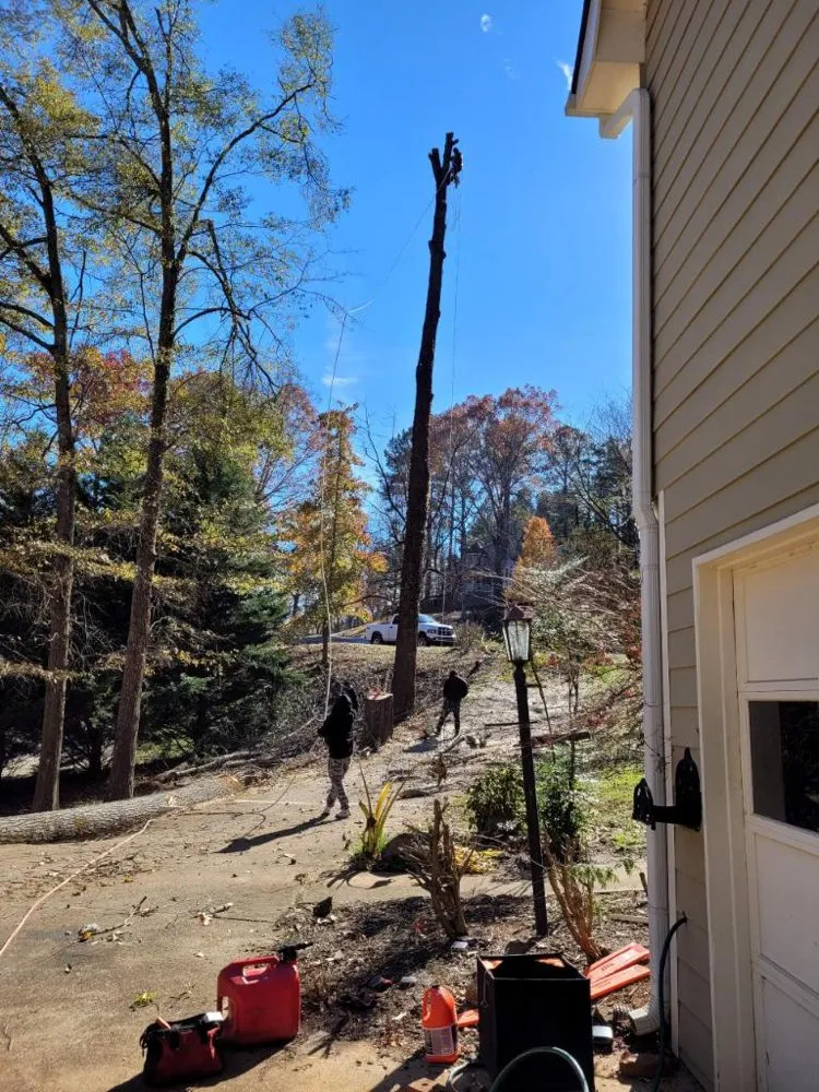 Trusted yard maintenance in Marietta, GA - Escobar’s Tree Service & Landscaping