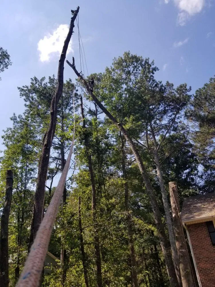 Local yard maintenance experts serving Marietta, GA - Escobar’s Tree Service & Landscaping