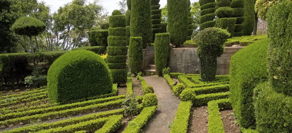 Custom garden landscaping for homes across Seaside, CA - Escobedo's Gardening & Landscaping