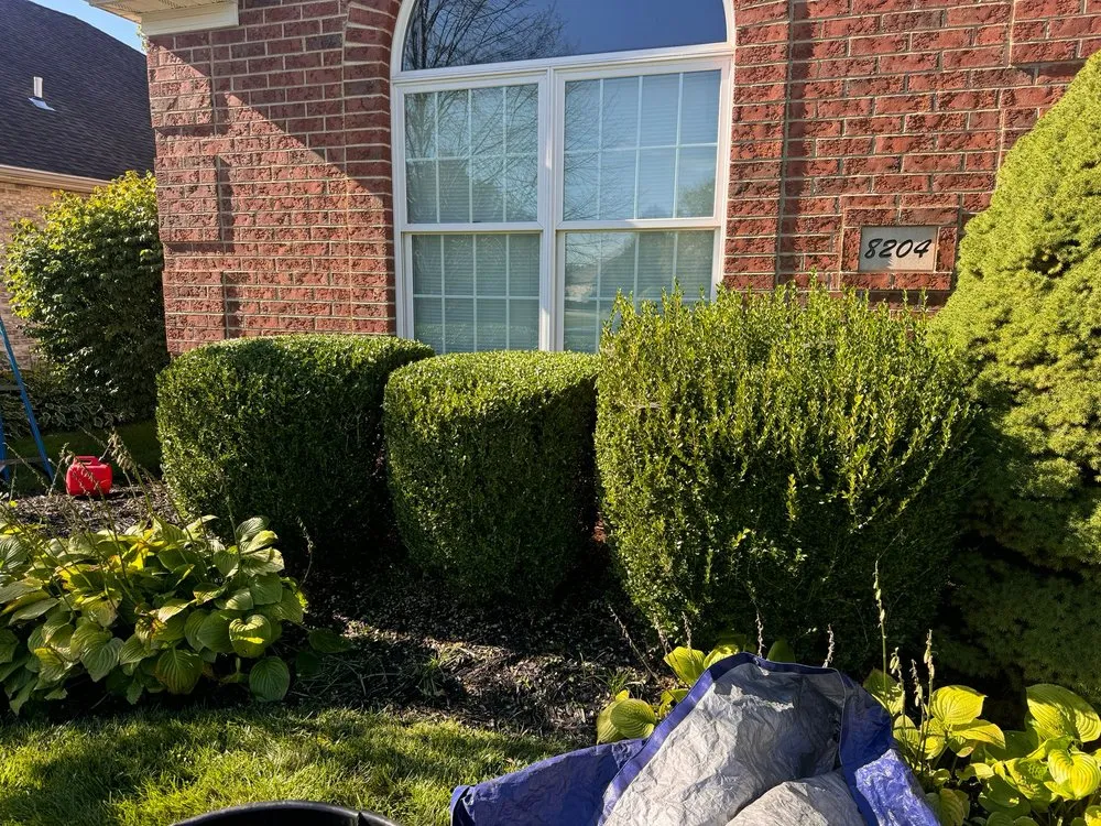 Top-rated yard cleanup service experts serving Bowling Green, OH - Escoboza Landscaping