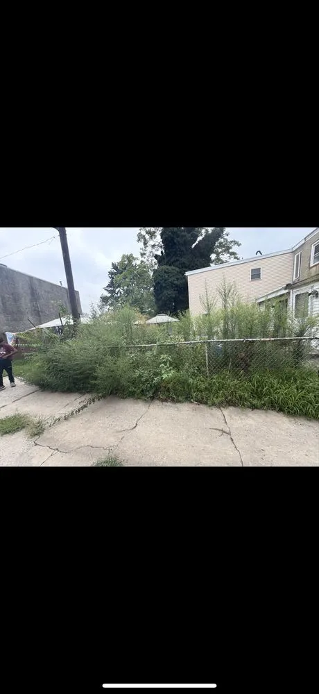 Expert landscape design near you across Riverside, NJ - Escolero Tree Service & Landscaping