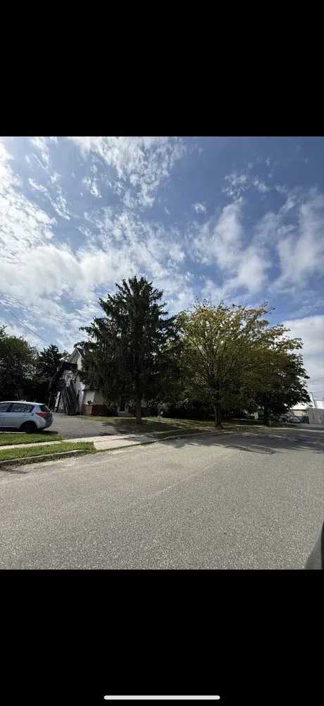 Local yard maintenance with custom design across Riverside, NJ - Escolero Tree Service & Landscaping