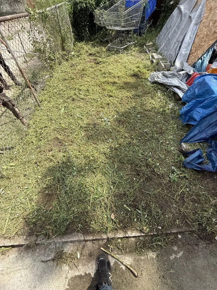 Reliable yard maintenance in Riverside, NJ - Escolero Tree Service & Landscaping