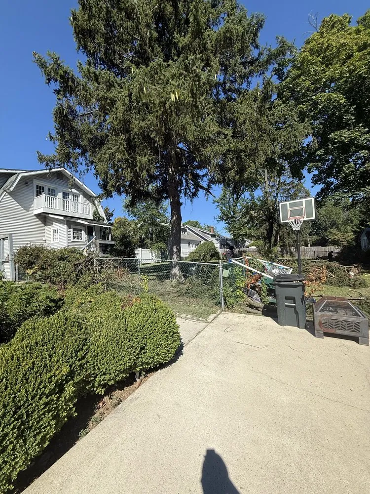 Top-rated lawn mowing service experts serving Riverside, NJ - Escolero Tree Service & Landscaping