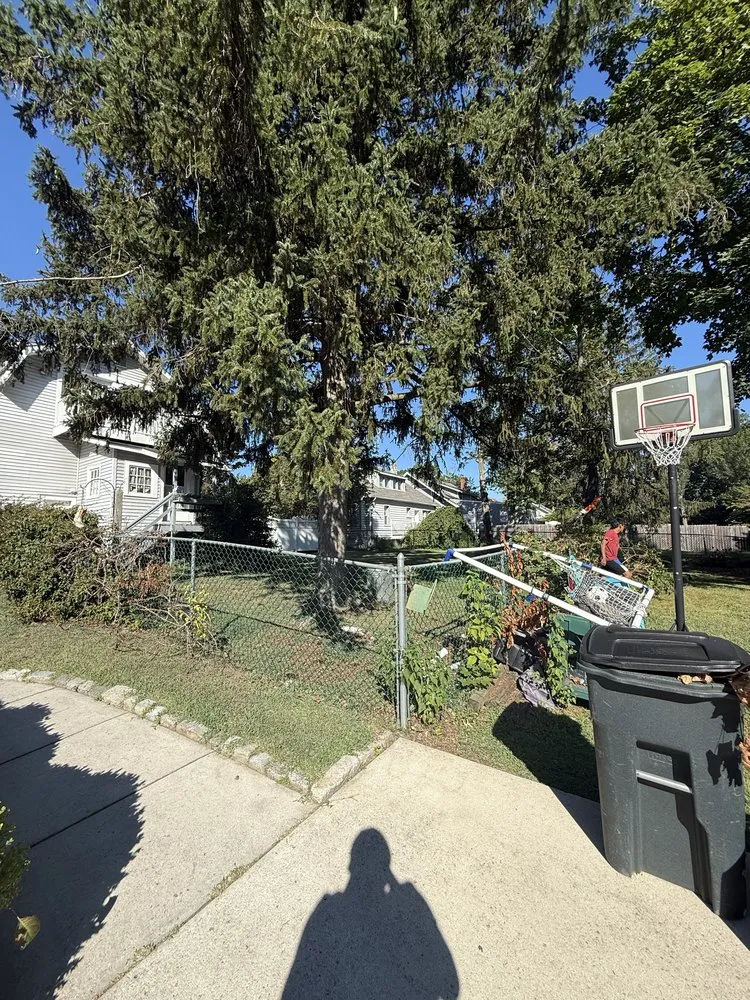 Custom yard cleanup service for residential properties across Riverside, NJ - Escolero Tree Service & Landscaping