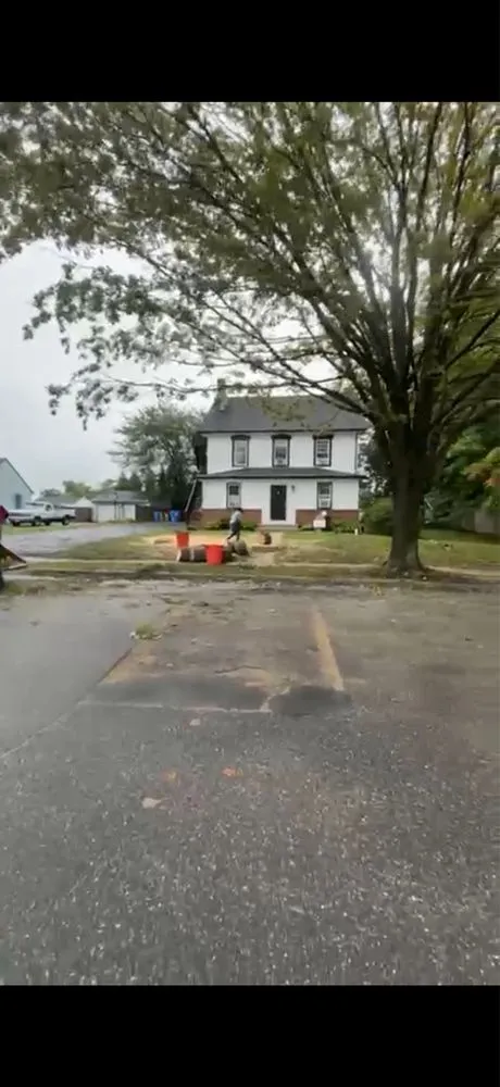 Local yard cleanup service for outdoor upgrades in Riverside, NJ by Escolero Tree Service & Landscaping