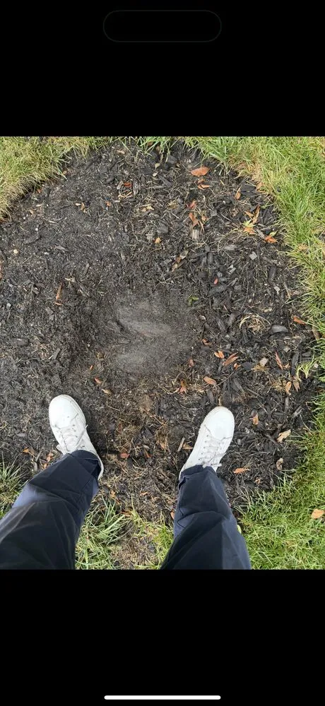 Top-rated landscape design for homes in Riverside, NJ by Escolero Tree Service & Landscaping