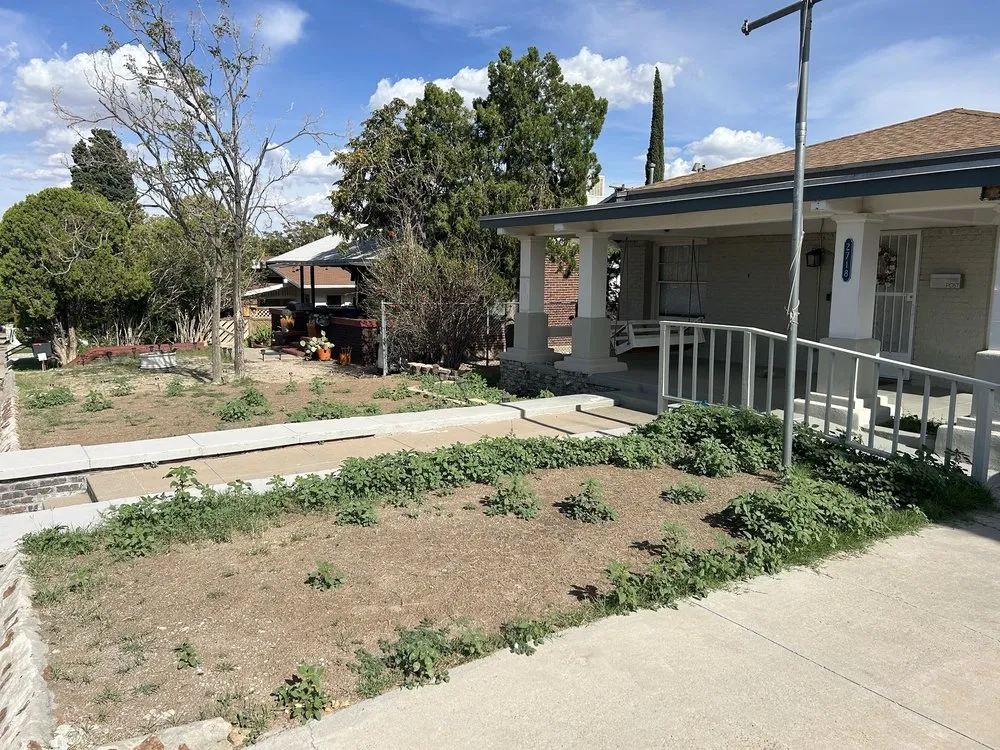Professional yard cleanup service for outdoor upgrades in El Paso, TX by Esco's Home Improvements