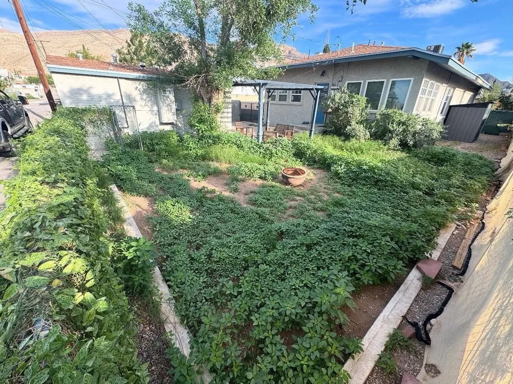 Custom lawn mowing service near you in El Paso, TX by Esco's Home Improvements