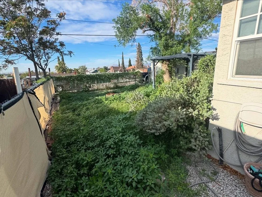 Affordable outdoor landscaping in El Paso, TX - Esco's Home Improvements