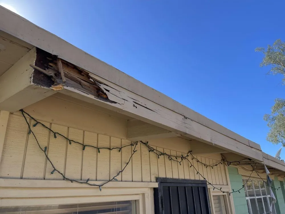 Local outdoor landscaping experts serving Tucson, AZ - Escudo Company