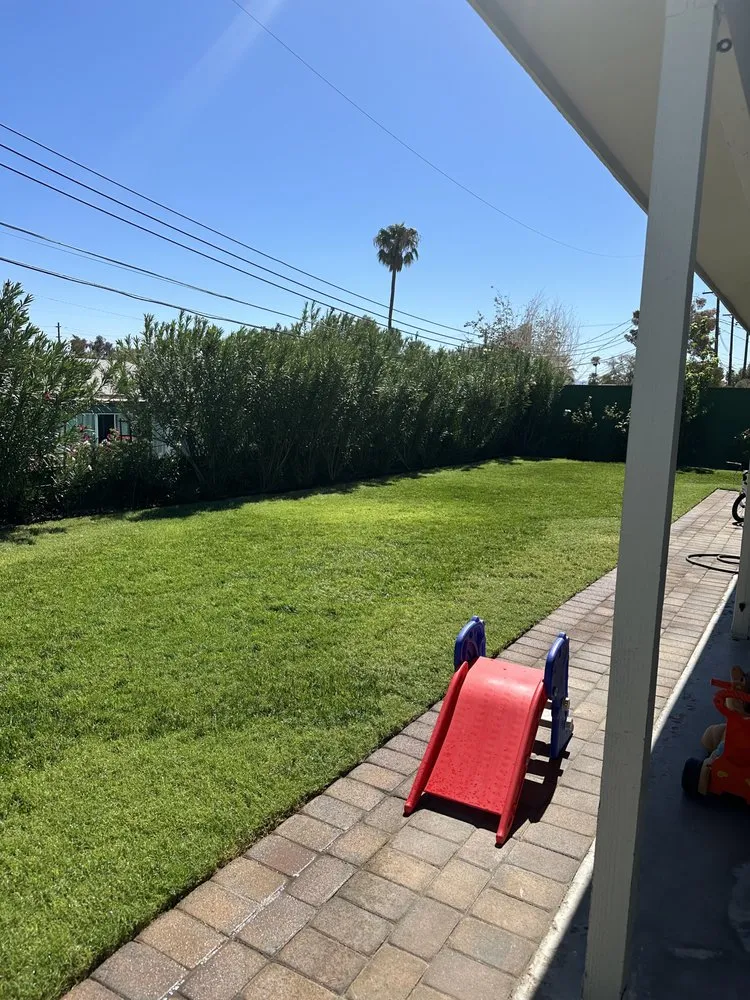 Custom garden landscaping experts serving Las Vegas, NV - ESD Landscaping And Lawn Care