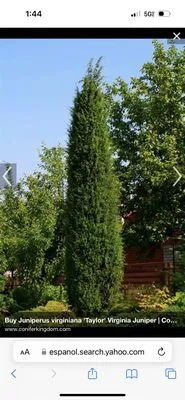 ESD Landscaping And Lawn Care Logo