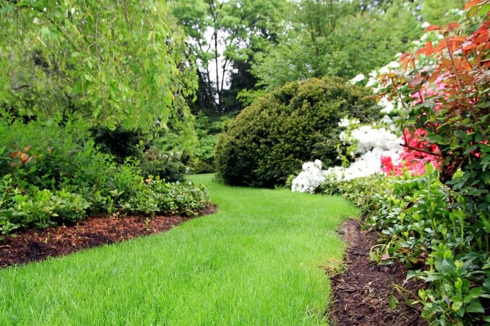 Top-rated lawn mowing service in Willow Street, PA by Eshelman Mill Gardens & Landscapes