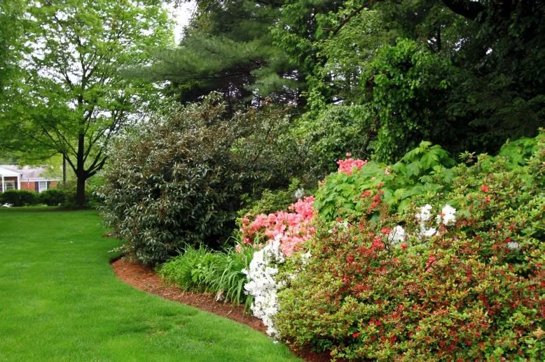 Reliable landscape installation for year-round maintenance across Willow Street, PA - Eshelman Mill Gardens & Landscapes