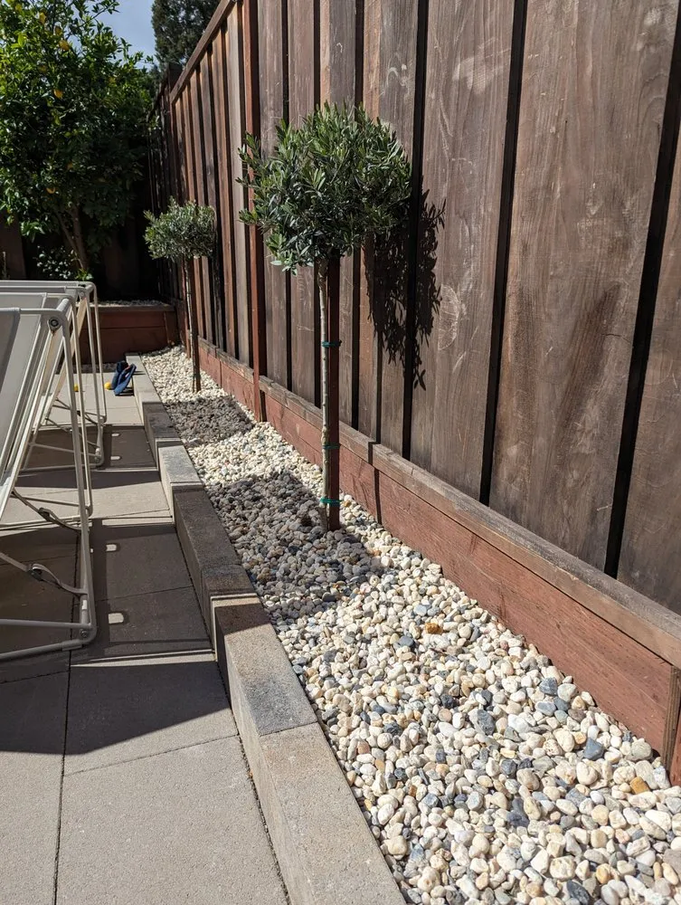 Local outdoor landscaping with custom design in Concord, CA by Esmeralda's Landscaping