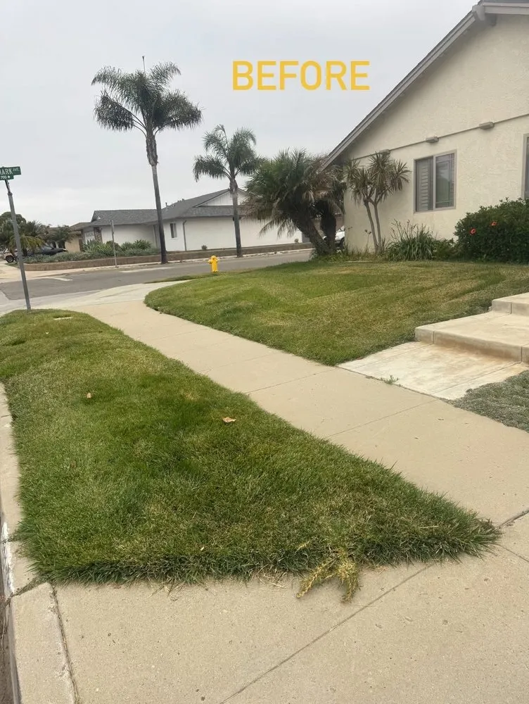 Top-rated landscape design near you in Camarillo, CA by ESP Landcaping