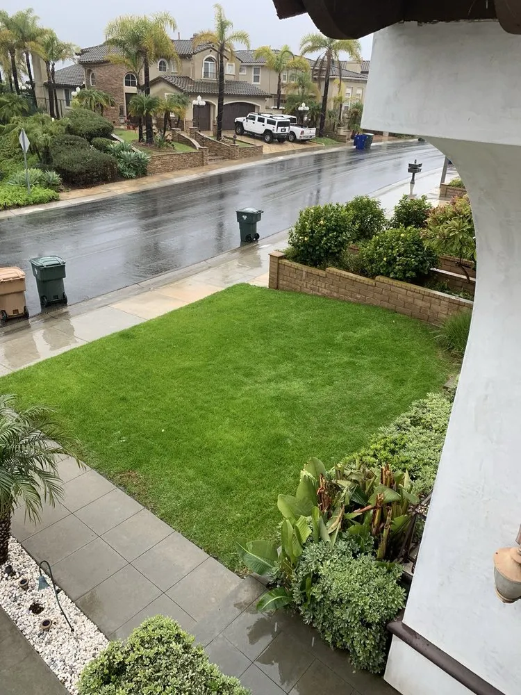 Professional yard maintenance in Camarillo, CA by ESP Landcaping