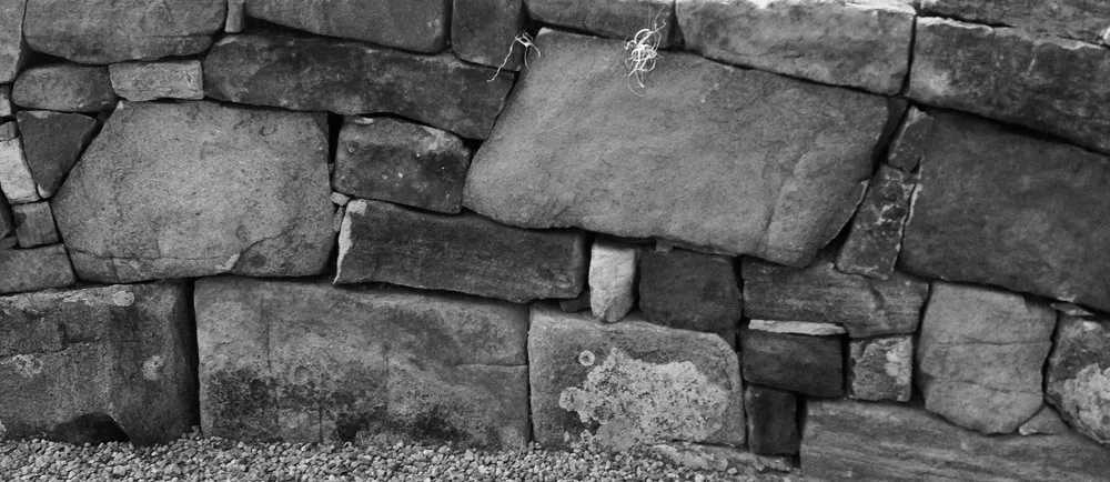 Expert yard maintenance experts serving Santa Fe, NM - Espalier Garden Solutions