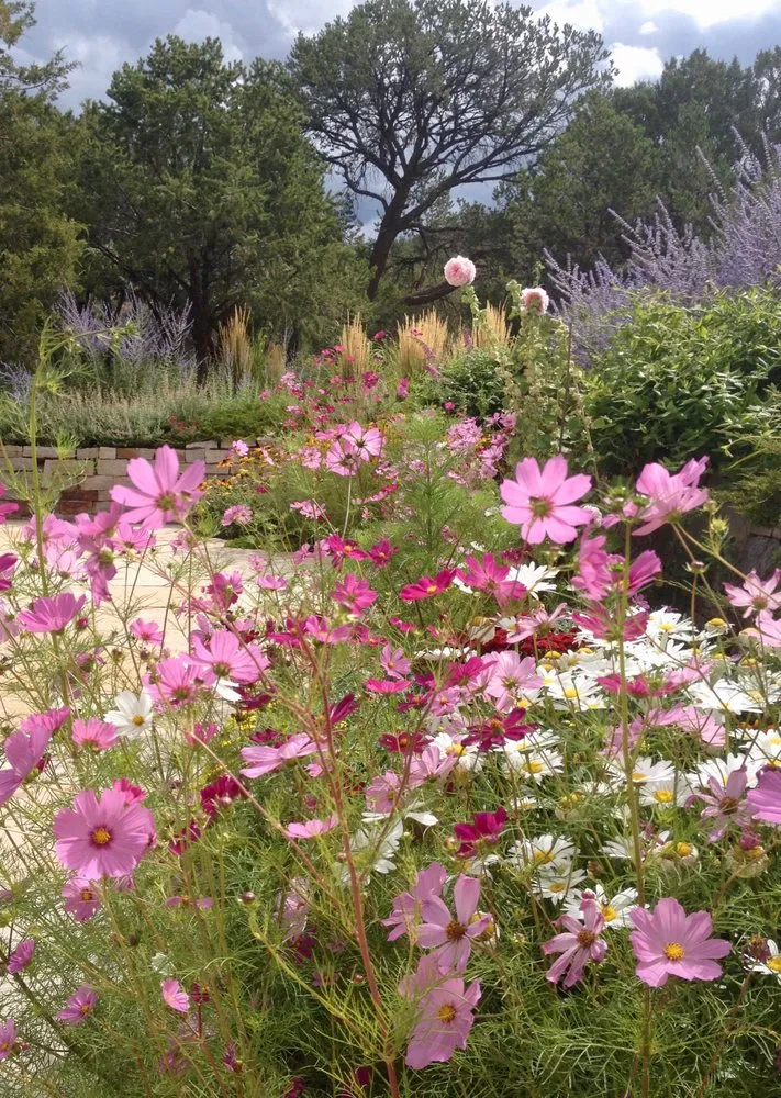 Trusted landscaping services in Santa Fe, NM by Espalier Garden Solutions