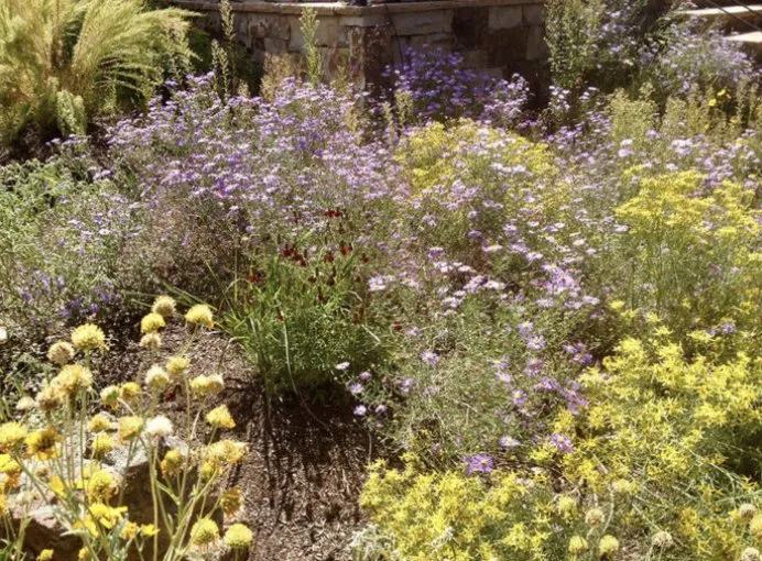 Reliable garden landscaping experts serving Santa Fe, NM - Espalier Garden Solutions