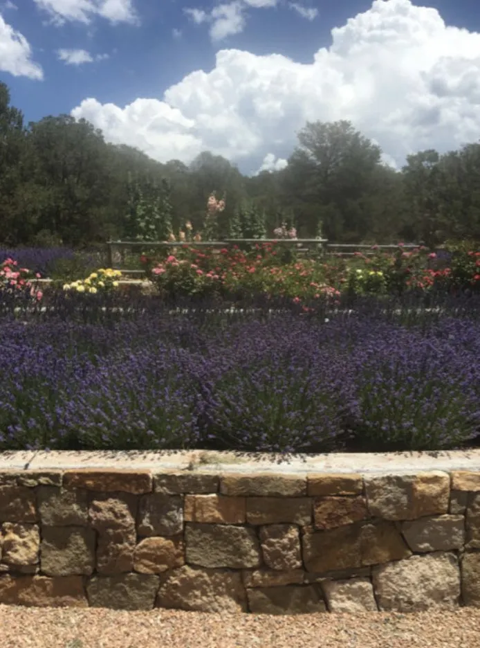 Trusted lawn mowing service in Santa Fe, NM by Espalier Garden Solutions