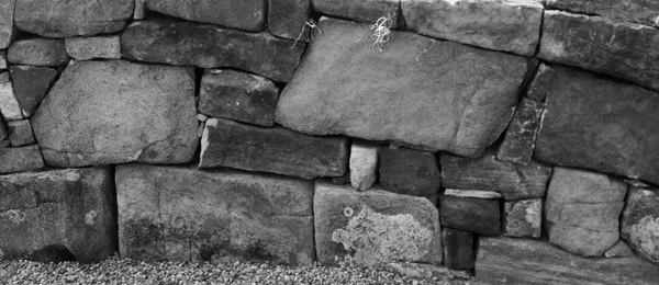 Espalier Garden Solutions Logo