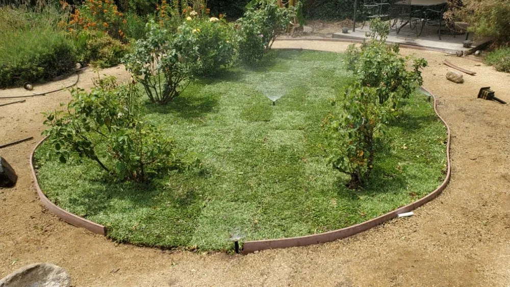 Custom landscape design for year-round maintenance in Azusa, CA by Esparza Landscaping