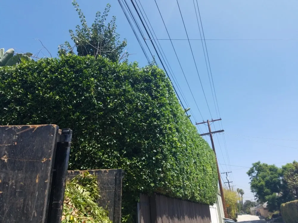 Local outdoor landscaping in Azusa, CA by Esparza Landscaping