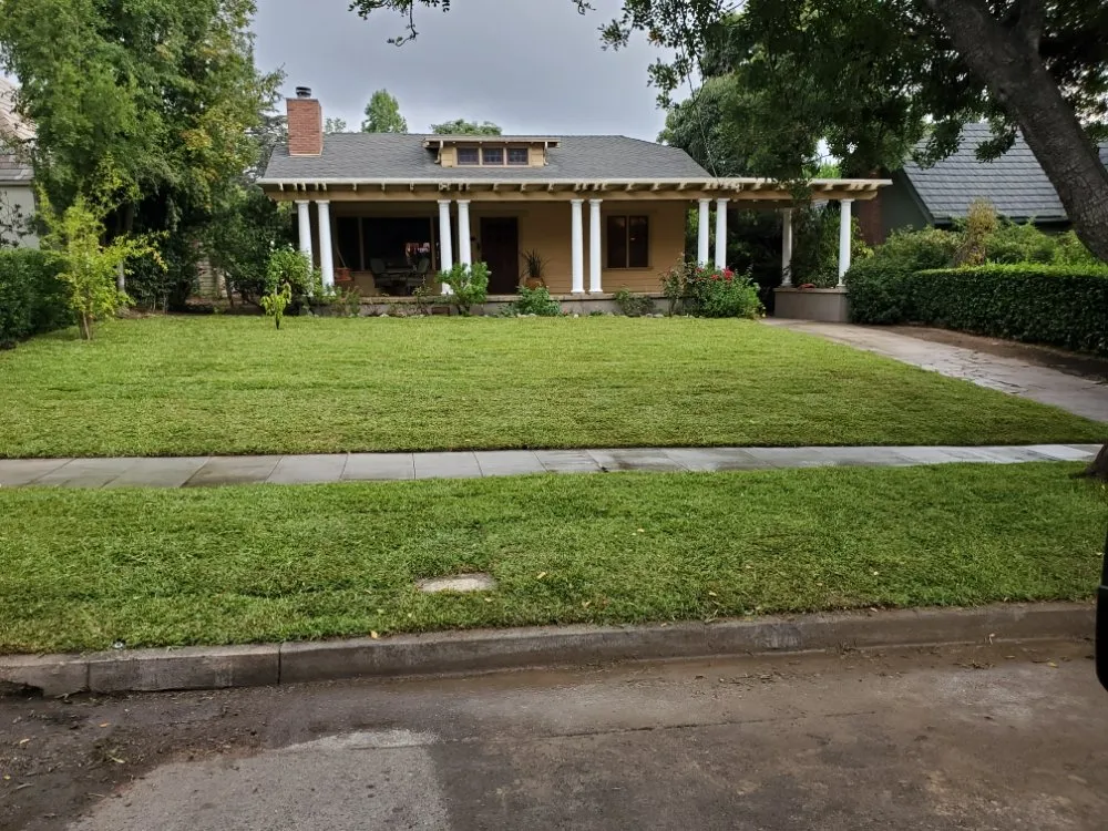 Custom yard cleanup service in Azusa, CA by Esparza Landscaping