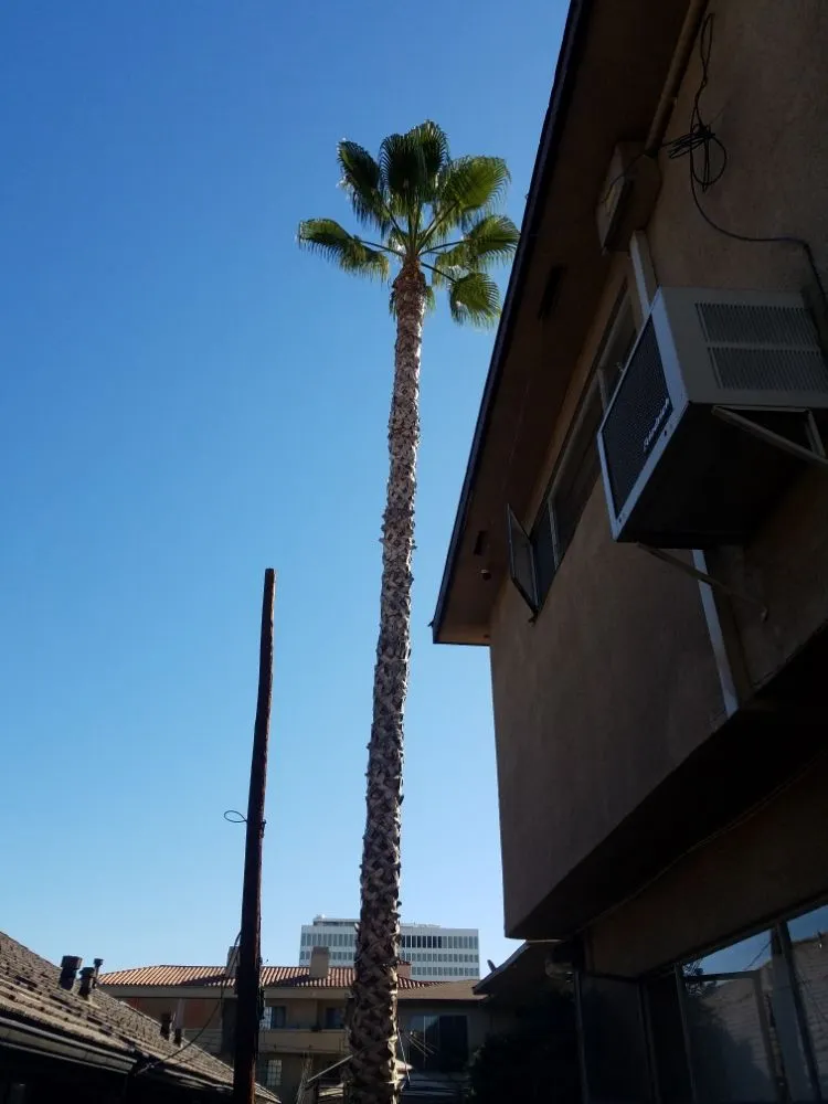 Trusted landscaping services for homes in Azusa, CA by Esparza Landscaping