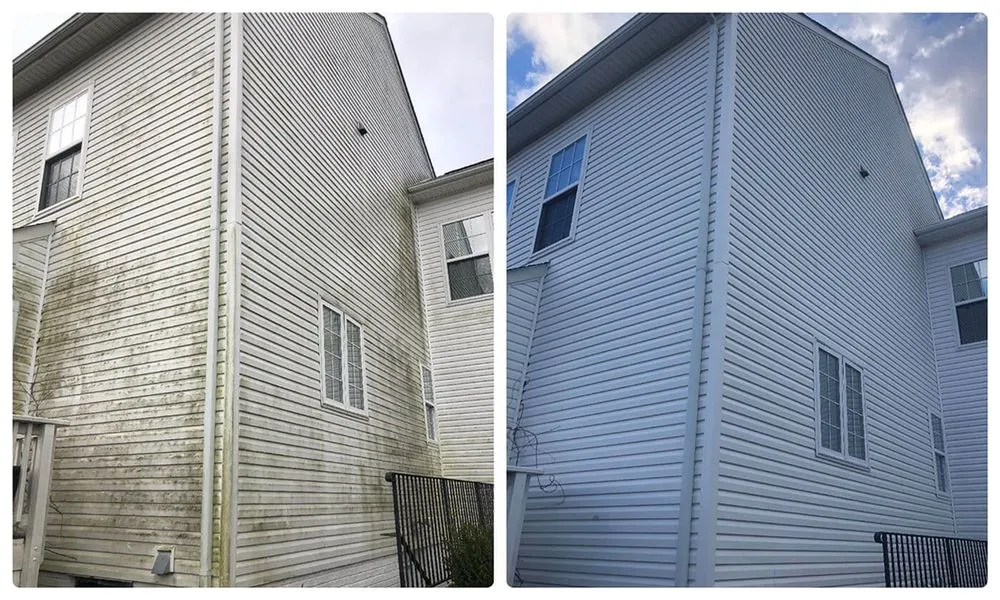 Reliable yard cleanup service experts serving Oxford, PA - Esparza’ Lawn& House Services