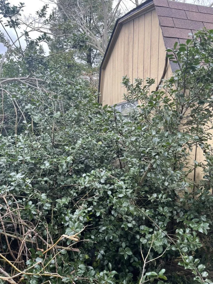 Affordable garden landscaping experts serving Oxford, PA - Esparza’ Lawn& House Services