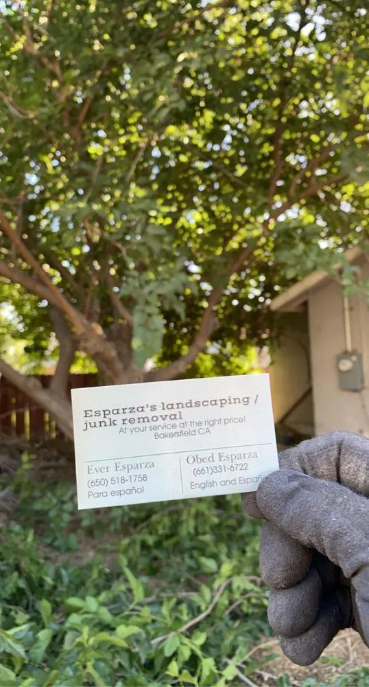 Reliable yard cleanup service for beautiful yards in Bakersfield, CA by Esparzas