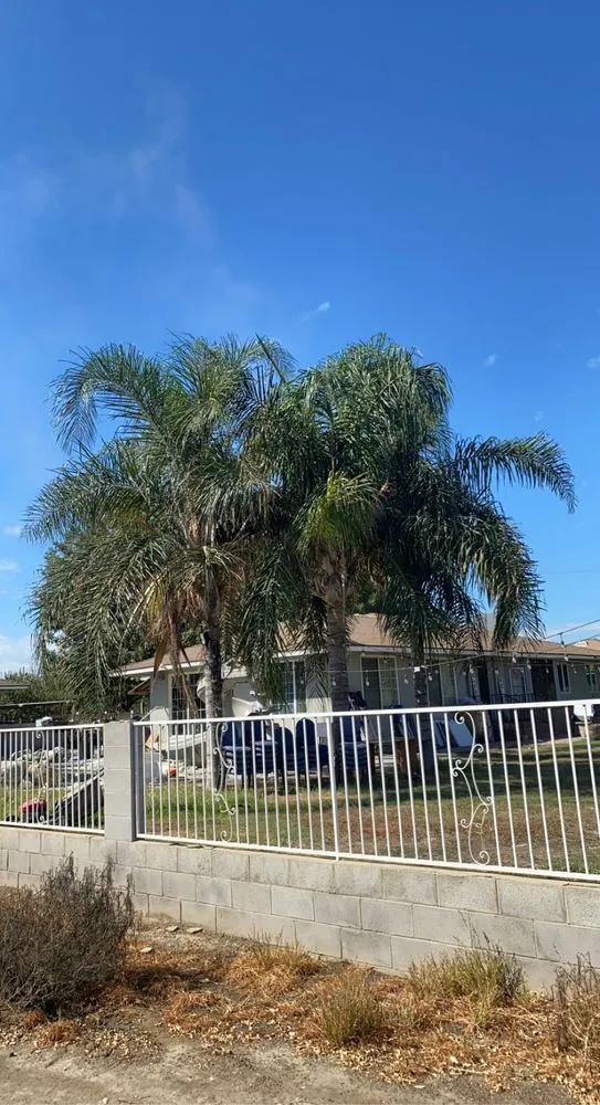 Expert yard cleanup service for year-round maintenance across Bakersfield, CA - Esparzas