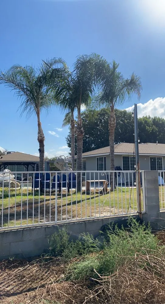 Reliable residential landscaping in Bakersfield, CA by Esparzas