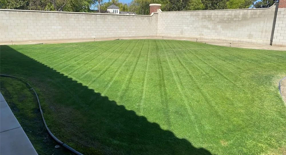 Custom lawn mowing service with custom design in Bakersfield, CA by Esparzas