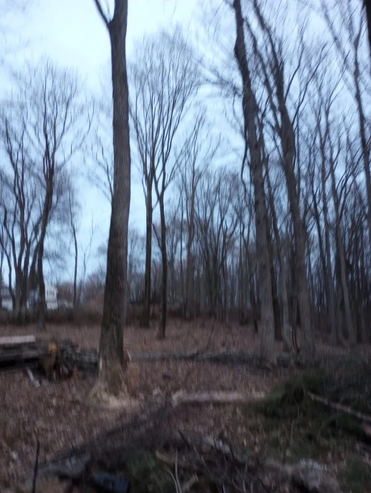 Expert lawn mowing service in McAdoo, PA - ESPconstruction