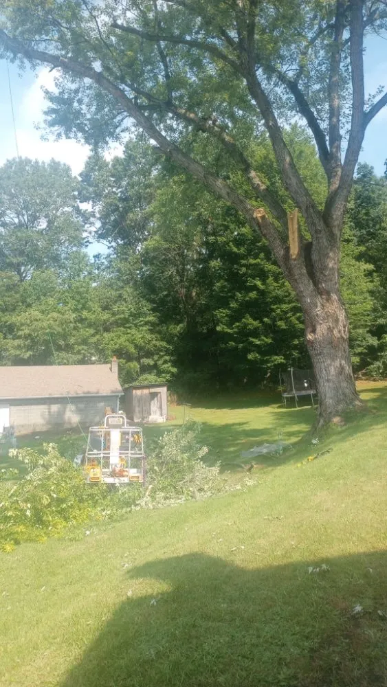 Local garden landscaping for beautiful yards across McAdoo, PA - ESPconstruction