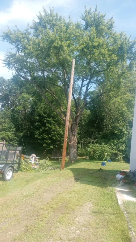 Affordable landscaping services in McAdoo, PA by ESPconstruction