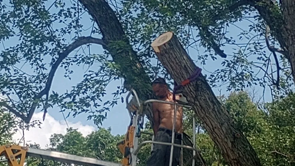 Affordable landscape installation for homes in McAdoo, PA by ESPconstruction