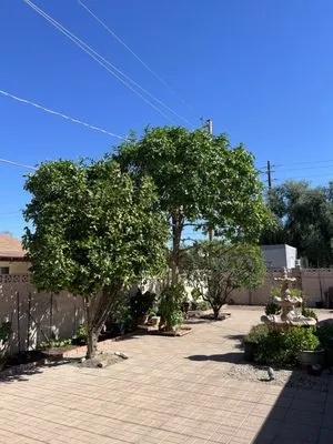 Espectro Landscaping AZ Logo