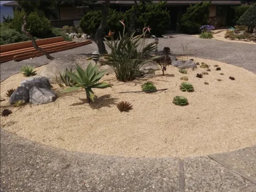 Trusted yard cleanup service experts serving Seaside, CA - Espinal Landscaping Services